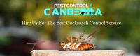 German Cockroach Control Canberra image 3
